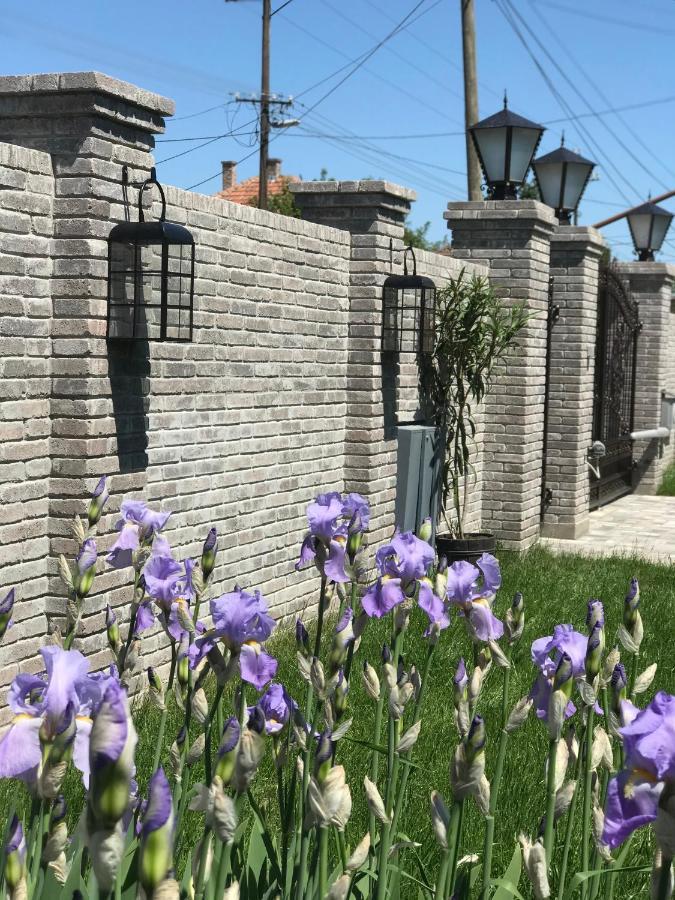 Eden Apartman Algyo エクステリア 写真